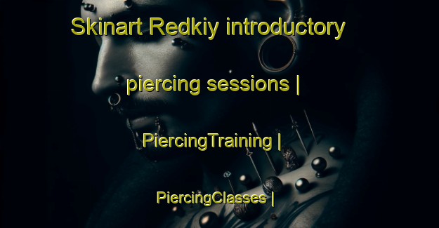Skinart Redkiy introductory piercing sessions | PiercingTraining | PiercingClasses | SkinartTraining-Russian Federation